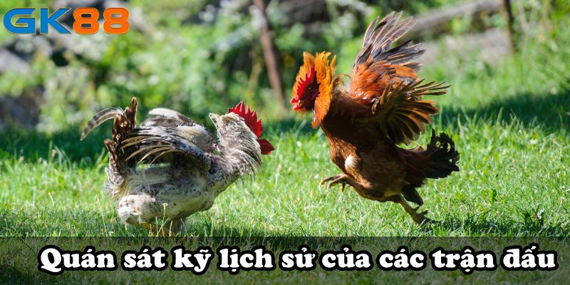 Quán sát kỹ lịch sử của các trận đấu