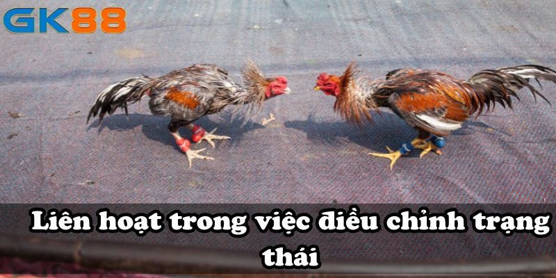 Liên hoạt trong việc điều chỉnh trạng thái