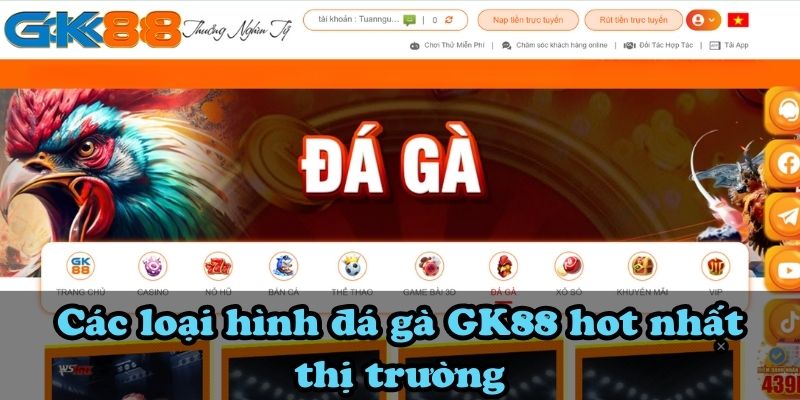 Các loại hình đá gà GK88 hot nhất thị trường