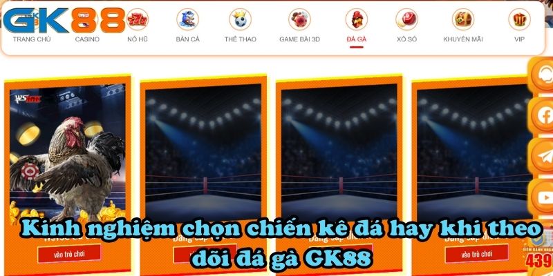 Kinh nghiệm chọn chiến kê đá hay khi theo dõi đá gà GK88